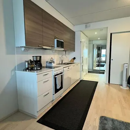 Tilava Yksioe Hyvaellae Sijainnilla Apartament *