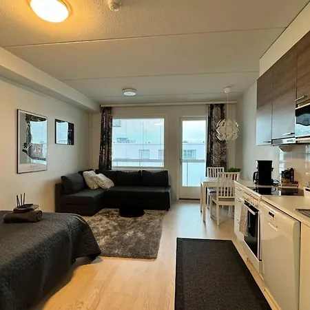 Tilava Yksioe Hyvaellae Sijainnilla Appartement